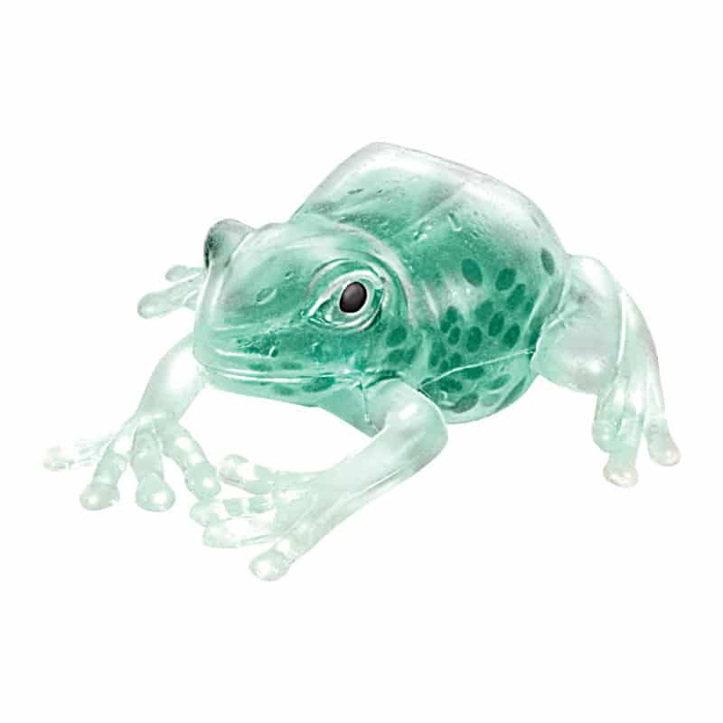Squish the Frog Fidget Toy – Melodi's Baby · Kid · Tween