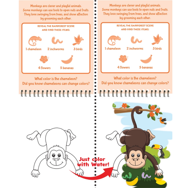 Color with Water Board Books