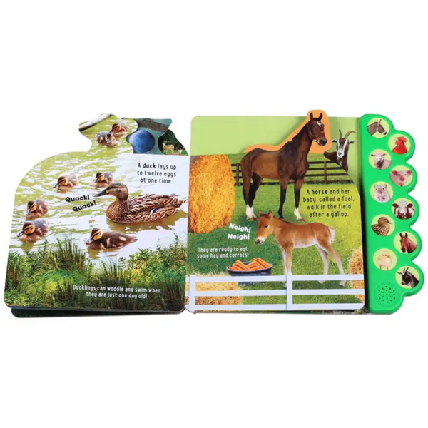Duck and horse spread with detailed photography and educational text.

