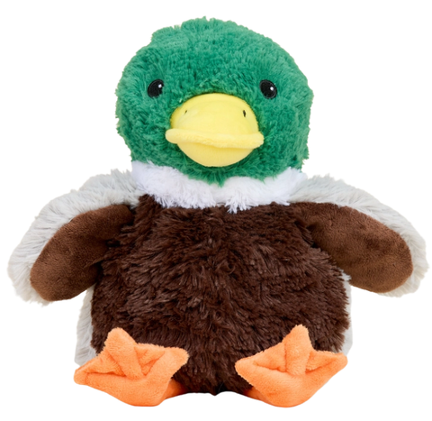 Stuffed plush mallard warmie green head, brown and white body and orange feet on a white background