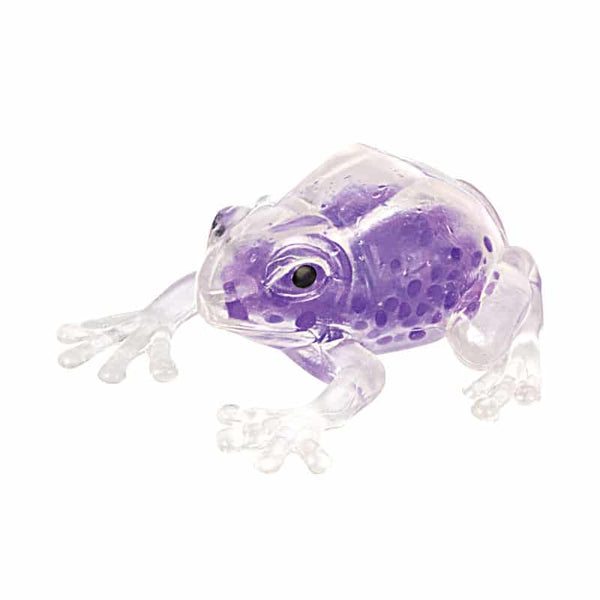 Squish the Frog Fidget Toy
