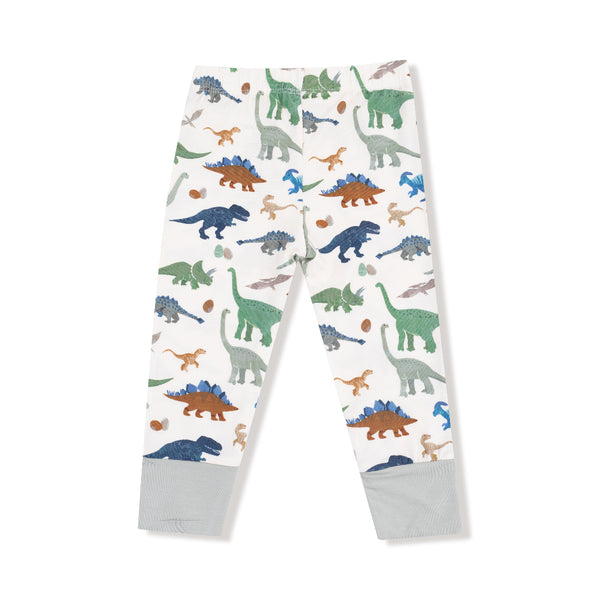 Washy Dinos- Loungewear Set