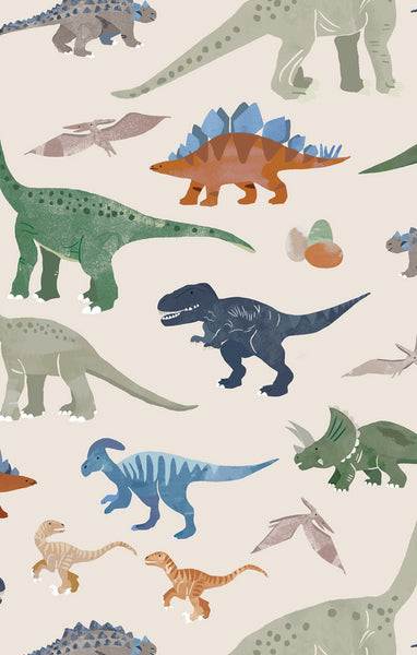 Washy Dinos- Loungewear Set