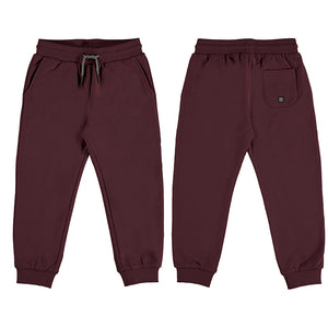 plum boys fleece jogger with front slant pockets and back patch pocket. elastic waist and working waist tie